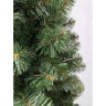Сосна TRIUMPH TREE САНКТ-ПЕТЕРБУРГ супер стройная 260 см зеленая 72249